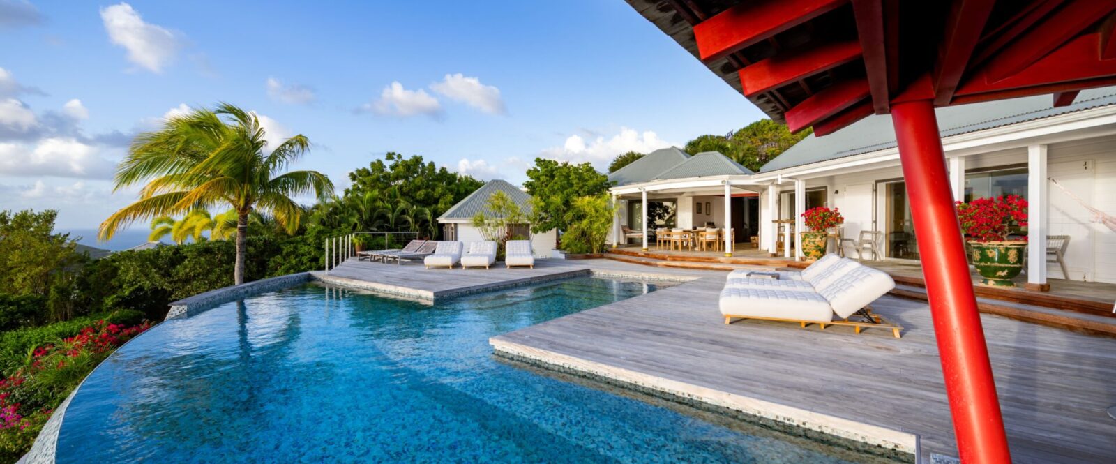 BLUE SWAN - cyrillemargarit-2393