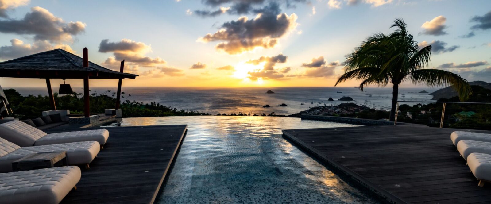 BLUE SWAN - cyrillemargarit-2455