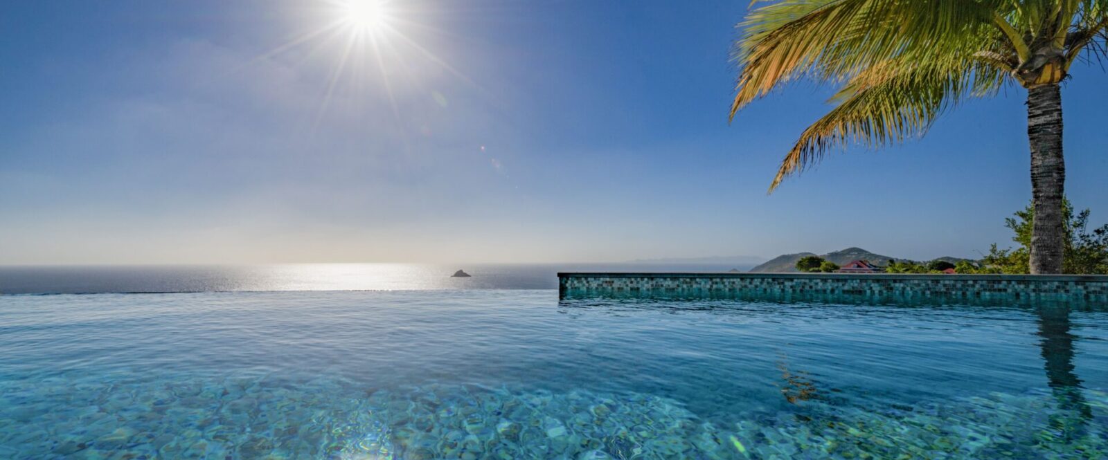 BLUE SWAN - cyrillemargarit-5320