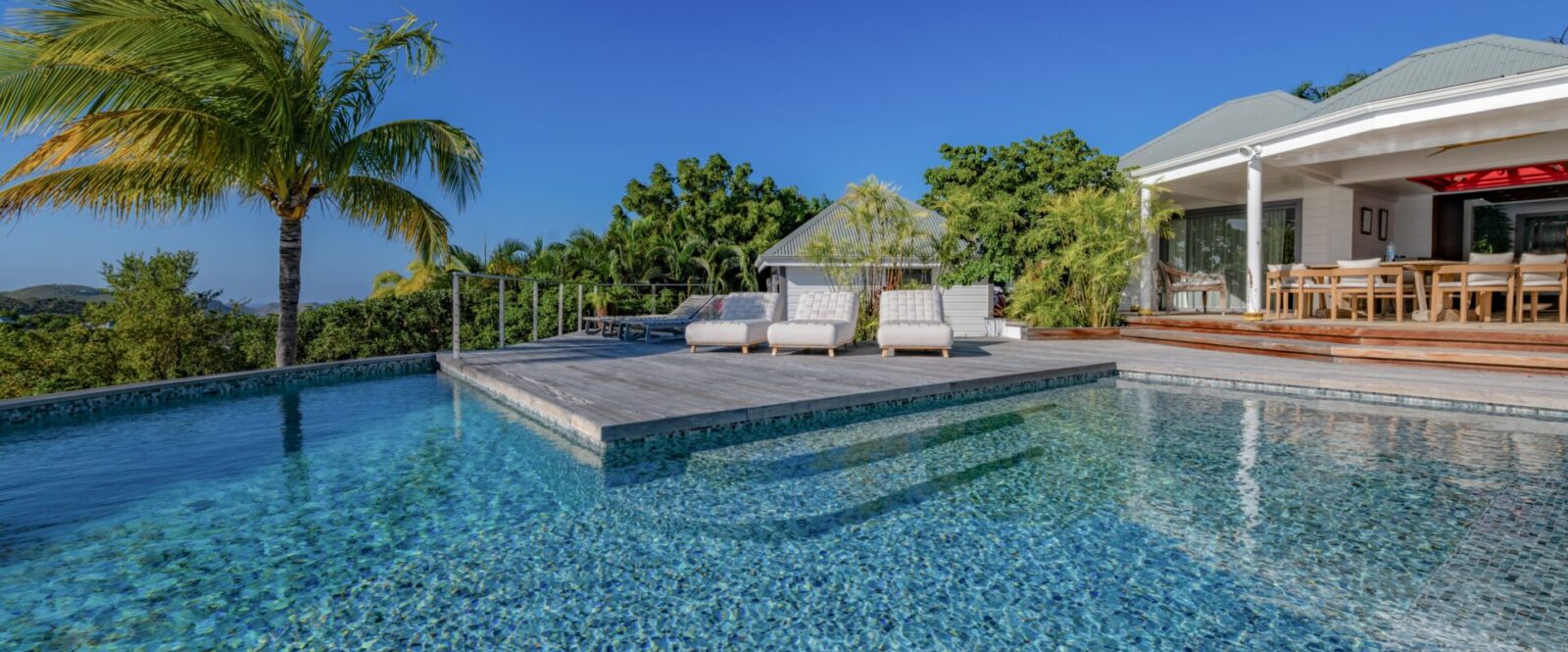 BLUE SWAN - cyrillemargarit-9791