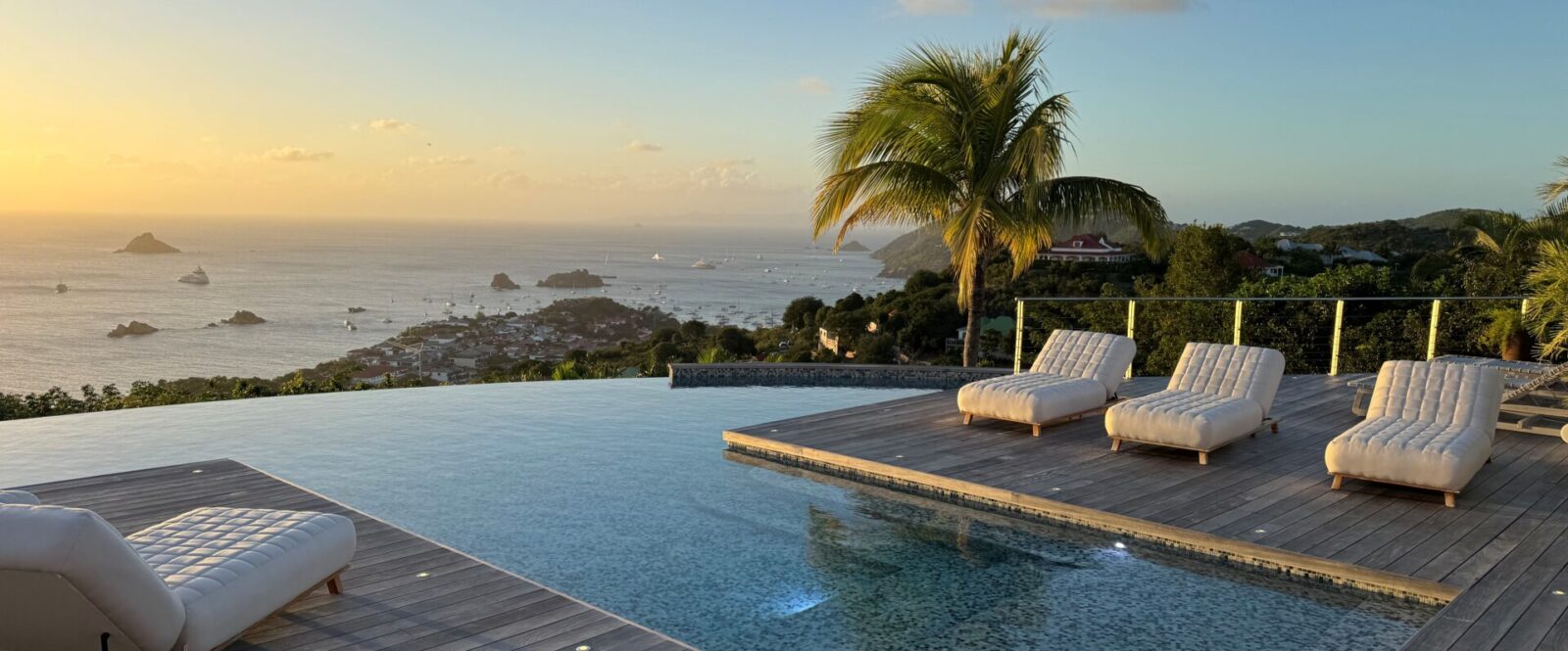 BLUE SWAN - img-5048