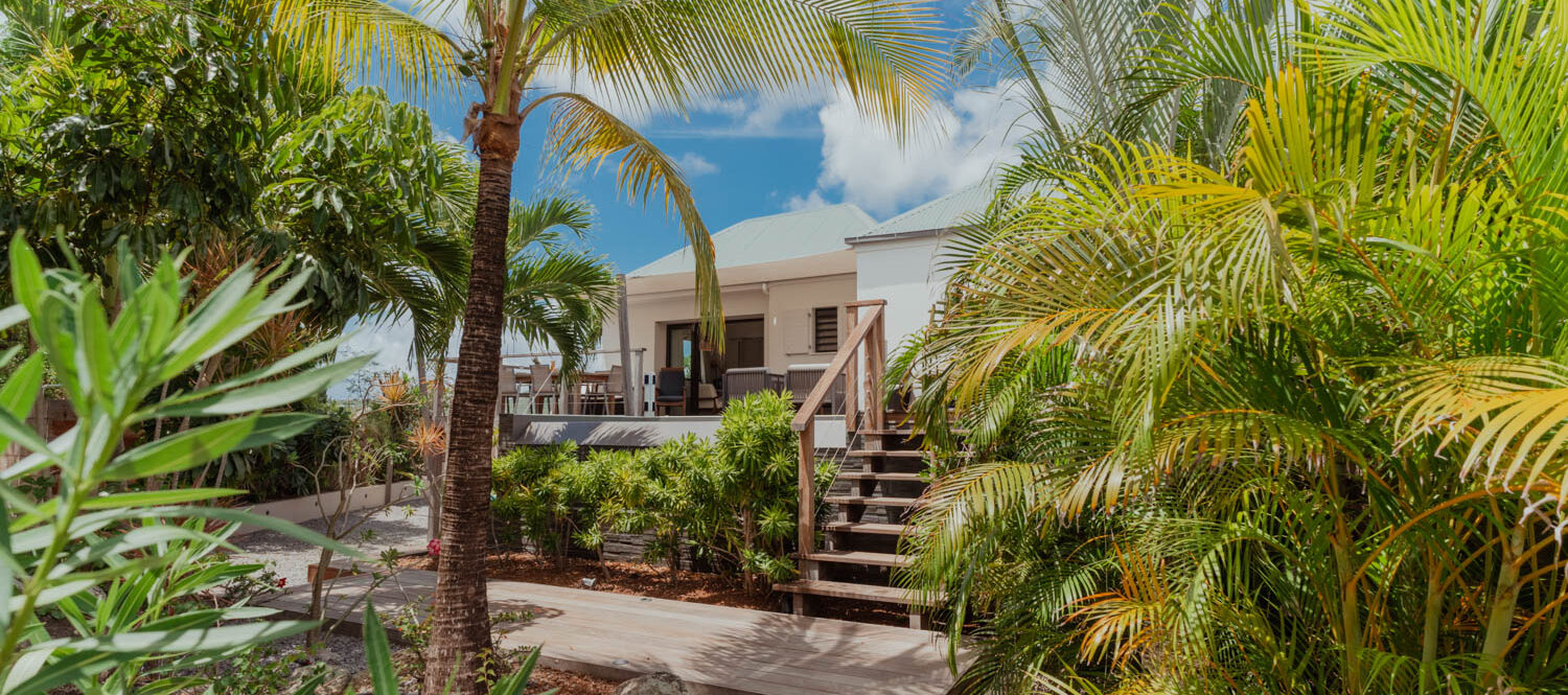 COZY AMANCAYA - dsc05682