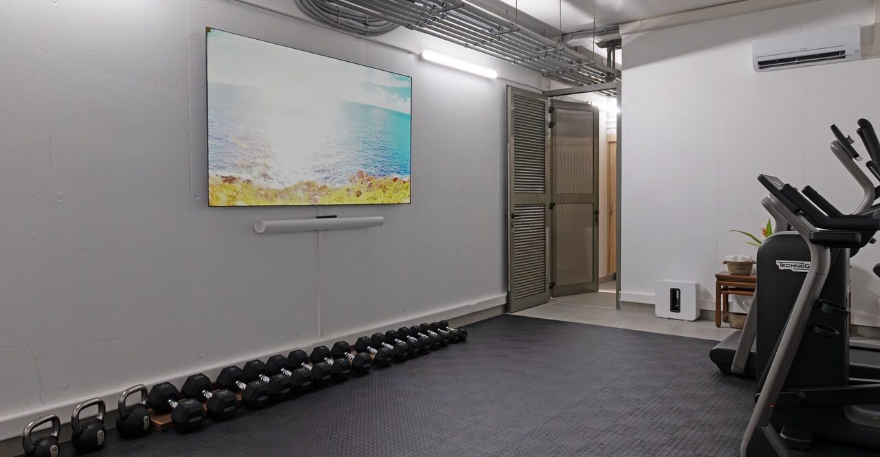 PAULISTA - hugo-allard-villa-paulista-2