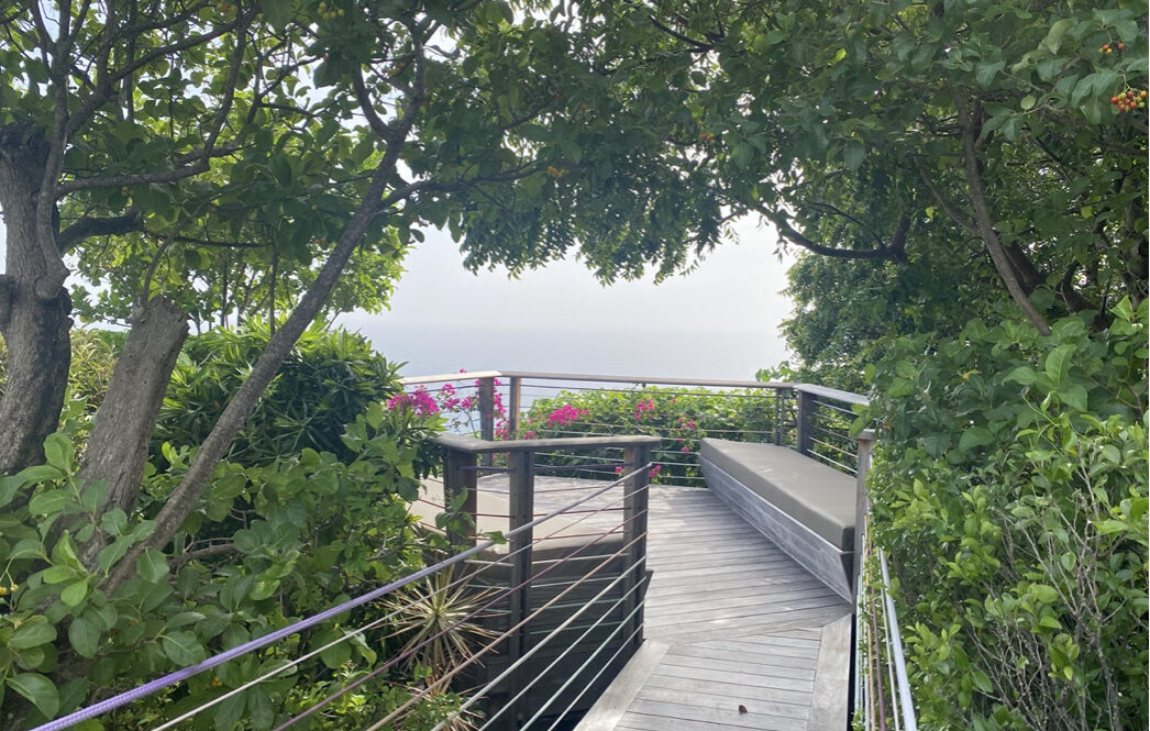 Coline - capture-decran-2023-11-20-a-110941