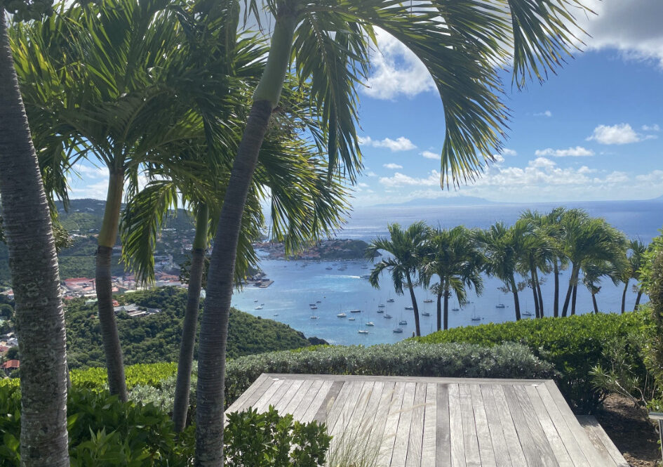 Coline - capture-decran-2023-11-30-a-084919