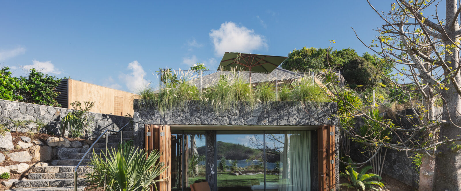 DOMAINE DE JANGALI - mg-2437