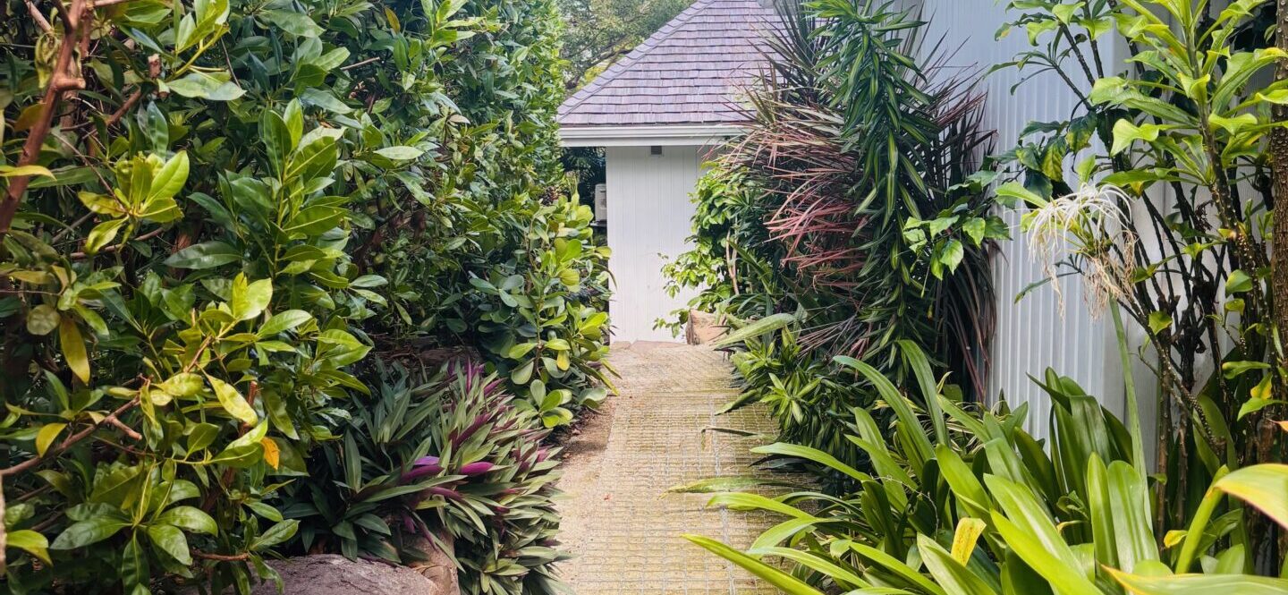 BUNGALOW QUENETTIER - img-5886